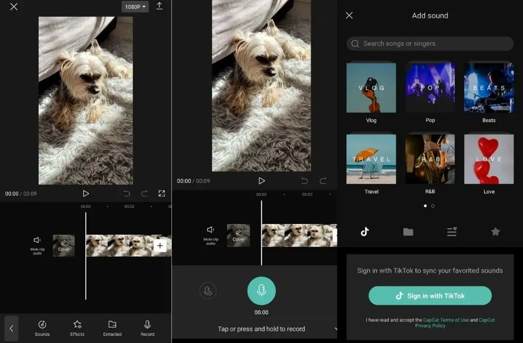 اشتراك Capcut pro